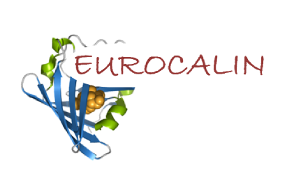 The EUROCALIN Project